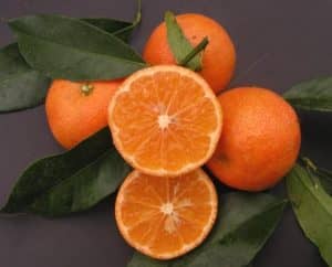 Clementine Caffin