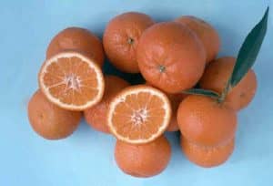 Clementine Comune SRA 63